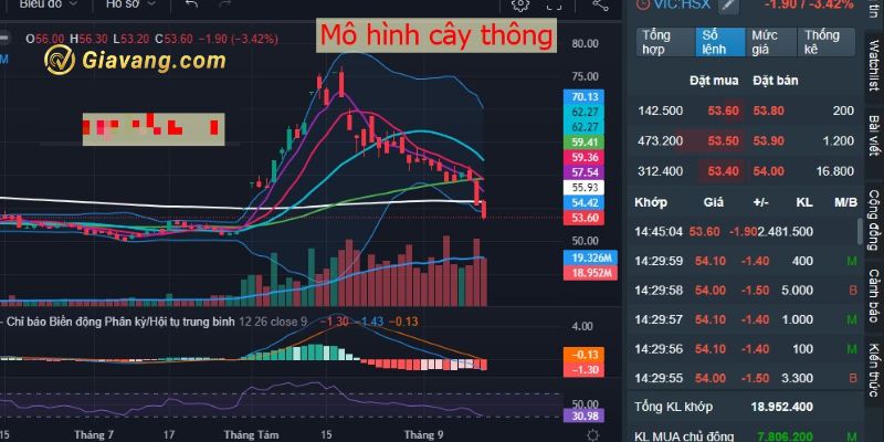 Tiềm năng tương lai của công ty 