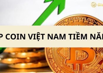 Top các đồng Coin Việt Nam đáng chú ý và có nhiều tiềm năng nhất 