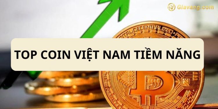 Top các đồng Coin Việt Nam đáng chú ý và có nhiều tiềm năng nhất 