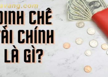 Định chế tài chính là gì? Các định chế tài chính ở Việt Nam và ví dụ