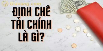 Định chế tài chính là gì? Các định chế tài chính ở Việt Nam 9 Định chế tài chính là gì? Các định chế tài chính ở Việt Nam và ví dụ