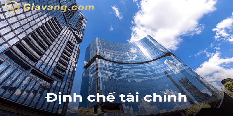 dinh che tai chinh vi du