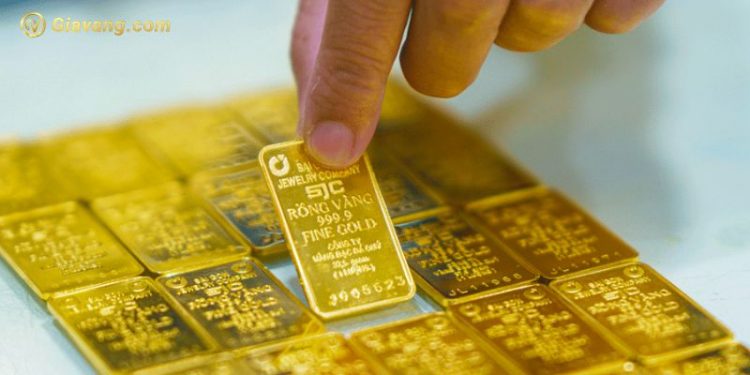 Giá vàng trong nước hôm nay 15/6/2024: Vàng SJC ổn định ở mức 76,98 triệu đồng/lượng 1 Giá vàng trong nước hôm nay 15/6/2024: Vàng SJC ổn định ở mức 76,98 triệu đồng/lượng