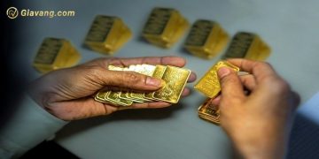 Giá vàng trong nước hôm nay 26/6/2024: Vàng SJC ổn định quanh mức dưới 77 triệu đồng/lượng 10 Giá vàng trong nước hôm nay 26/6/2024: Vàng SJC ổn định quanh mức dưới 77 triệu đồng/lượng