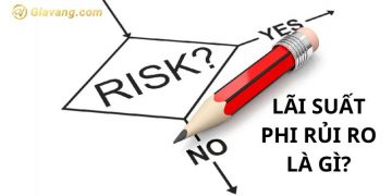 Lãi suất phi rủi ro là gì? Cách tính lãi suất phi rủi ro chính xác nhất 4 Lãi suất phi rủi ro là gì?