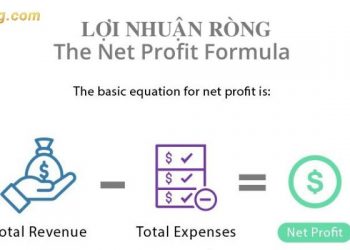 Lợi nhuận ròng là gì? Phân biệt lợi nhuận thuần và lợi nhuận ròng