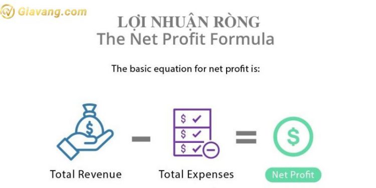 Lợi nhuận ròng là gì? Phân biệt lợi nhuận thuần và lợi nhuận ròng 1 Lợi nhuận ròng là gì? Phân biệt lợi nhuận thuần và lợi nhuận ròng