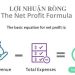 Lợi nhuận ròng là gì? Phân biệt lợi nhuận thuần và lợi nhuận ròng 9 Lợi nhuận ròng là gì? Phân biệt lợi nhuận thuần và lợi nhuận ròng