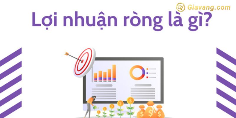 Lợi nhuận ròng là gì?