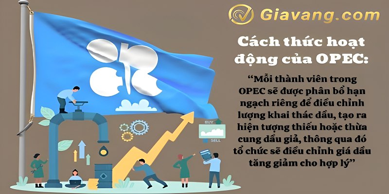 mo hinh hoat dong opec