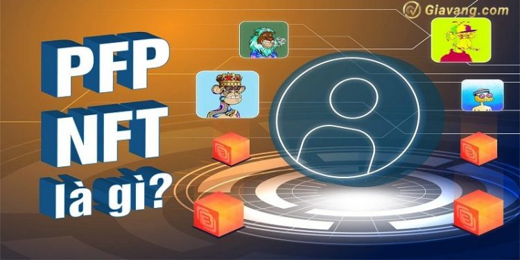 PFP (Profile picture) là gì? 5 dự án PFP NTF phổ biến nhất 1 PFP (Profile picture) là gì? 5 dự án PFP NTF phổ biến nhất