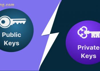 Public key và Private key là gì? Mẹo sử dụng hữu ích