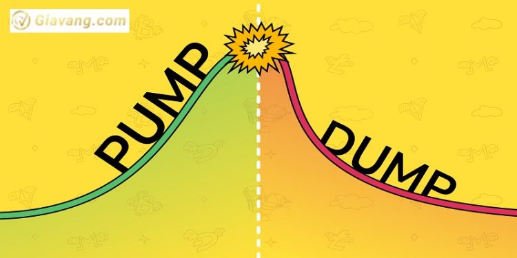 Pump và Dump là gì? Dấu hiệu nhận biết một coin sắp Pump và Dump
