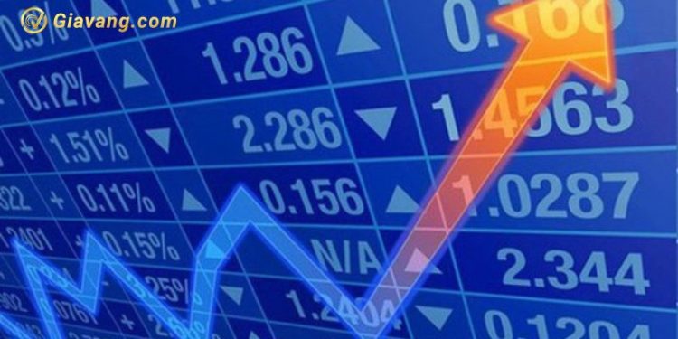 Top cổ phiếu cao nhất Việt Nam với thị giá tăng trưởng ổn định