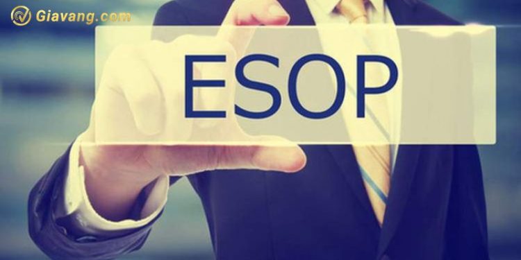 TVB thu hồi gần 3 triệu cổ phiếu ESOP với giá 10,000 đồng/cp 1 TVB thu hồi gần 3 triệu cổ phiếu ESOP với giá 10,000 đồng/cp