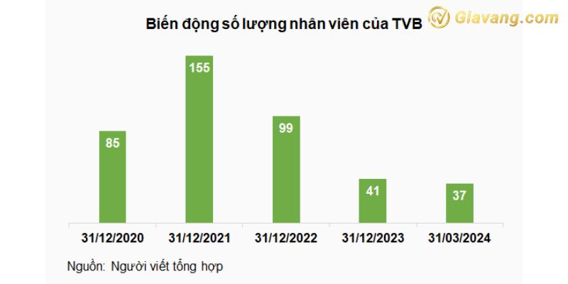 Biến động số lượng nhân viên của TVB 