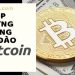 Tổng hợp các trang web đào Bitcoin miễn phí năm 2024
