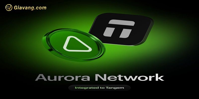 Aurora Network la gi