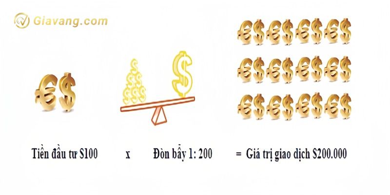 Forex trading can rat nhieu tien