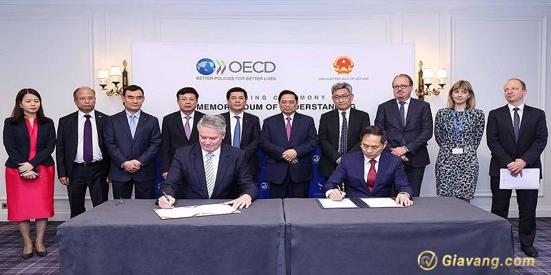 Quan he giua Viet Nam – OECD