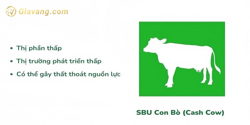 SBU con bo sua Cash Cow