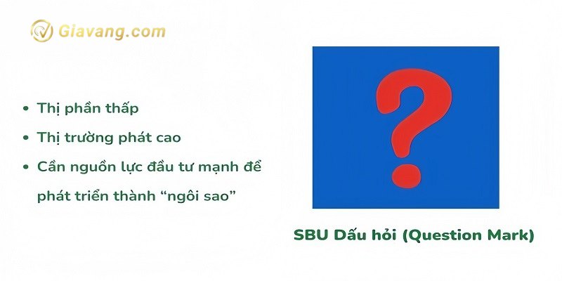 SBU dau cham hoi Question Mark