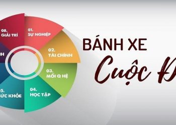 Bánh xe cuộc đời là gì? Cách tạo và áp dụng Wheel of Life để cân bằng cuộc sống