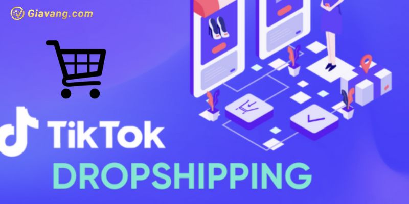 Dropshipping Tik Tok là gì?