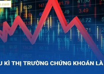Chu kỳ của chứng khoán là gì? Nên đầu tư ở giai đoạn nào trong chu kỳ chứng khoán