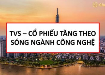 Chủ tịch Nguyễn Trung Hà đăng ký mua 3 triệu cổ phiếu TVS