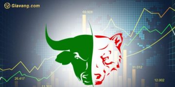 Chứng khoán hôm nay 11/07/2024: Sắc xanh lan tỏa trên cả 3 sàn 9 Chứng khoán hôm nay 11/07/2024: Sắc xanh lan tỏa trên cả 3 sàn