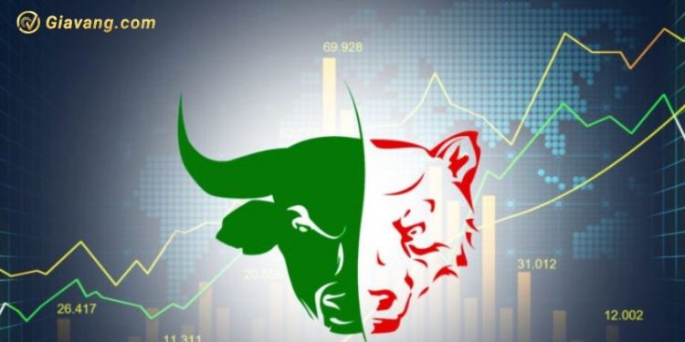 Chứng khoán hôm nay 11/07/2024: Sắc xanh lan tỏa trên cả 3 sàn