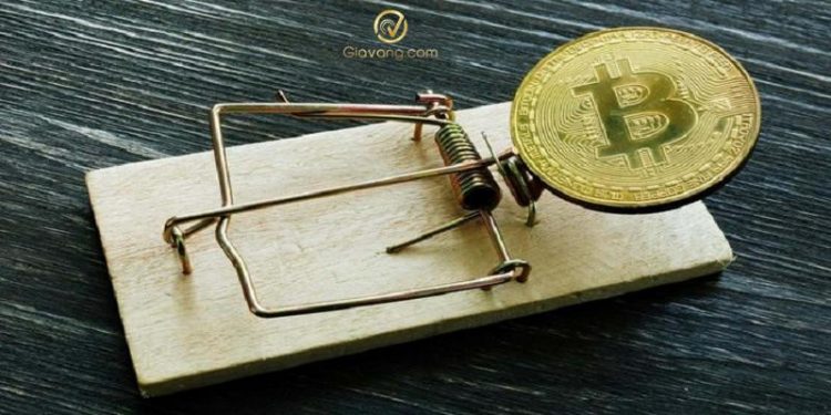 5 hình thức coin lừa đảo phổ biến nhất trong Crypto và cách phòng tránh