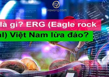 Eagle Rock Global (ERG) là gì? Thực hư dự án ERG lừa đảo?