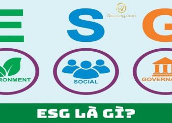 ESG là gì? 3 trọng tâm ESG doanh nghiệp cần tìm hiểu trước khi chuyển đổi theo xu thế