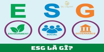 ESG là gì? 3 trọng tâm ESG doanh nghiệp cần tìm hiểu trước khi chuyển đổi theo xu thế