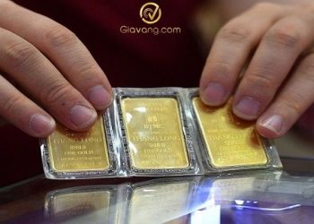 Giá vàng trong nước hôm nay 19/7/2024: Vàng miếng SJC tăng sốc hơn 3 triệu đồng/lượng