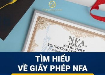 Giấy phép NFA là gì? Top 10 sàn Forex được cấp giấy phép NFA