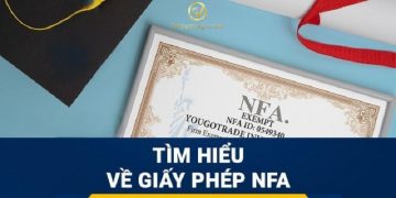 Giấy phép NFA là gì? Top 10 sàn Forex được cấp giấy phép NFA