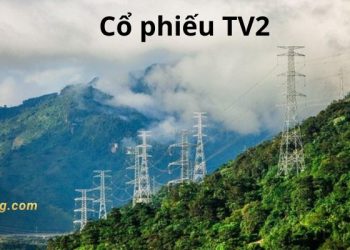 Khoảng hơn 5 triệu cổ phiếu TV2 “chất sàn” trên thị trường