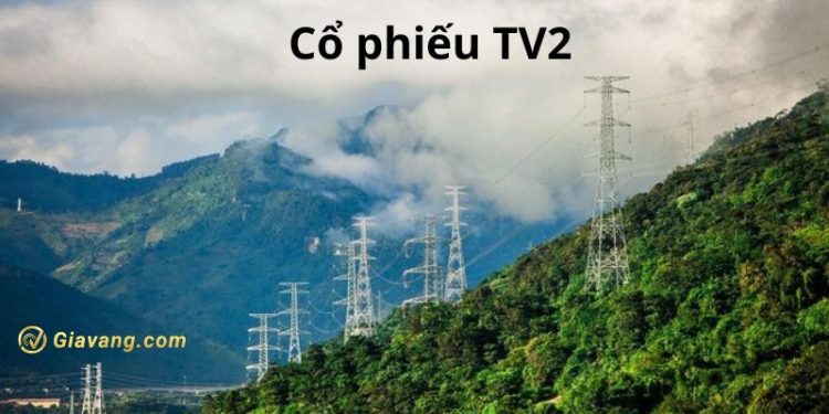 Khoảng hơn 5 triệu cổ phiếu TV2 “chất sàn” trên thị trường