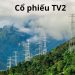 Khoảng hơn 5 triệu cổ phiếu TV2 “chất sàn” trên thị trường 10 Khoảng hơn 5 triệu cổ phiếu TV2 “chất sàn” trên thị trường