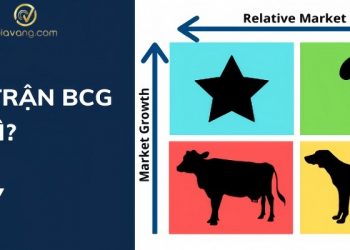 Ma trận BCG là gì? Giải mã 4 yếu tố của một ma trận BCG