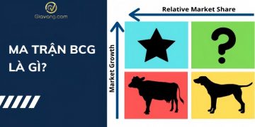 Ma trận BCG là gì? Giải mã 4 yếu tố của một ma trận BCG 5 Ma trận BCG là gì? Giải mã 4 yếu tố của một ma trận BCG
