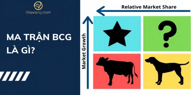 Ma trận BCG là gì? Giải mã 4 yếu tố của một ma trận BCG