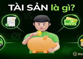 Tài sản là gì? Tất tần tật về các loại tài sản bạn cần biết