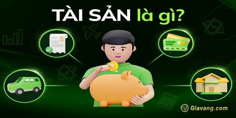 Tài sản là gì? Tất tần tật về các loại tài sản bạn cần biết
