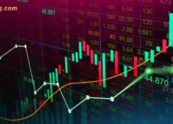 VN-Index rơi mạnh nhưng quỹ ngoại PYN Elite vẫn lãi nhẹ