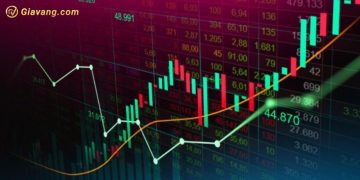 VN-Index rơi mạnh nhưng quỹ ngoại PYN Elite vẫn lãi nhẹ 7 VN-Index rơi mạnh nhưng quỹ ngoại PYN Elite vẫn lãi nhẹ