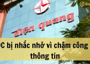 Doanh nghiệp DQC bị nhắc nhở vì chậm công bố thông tin